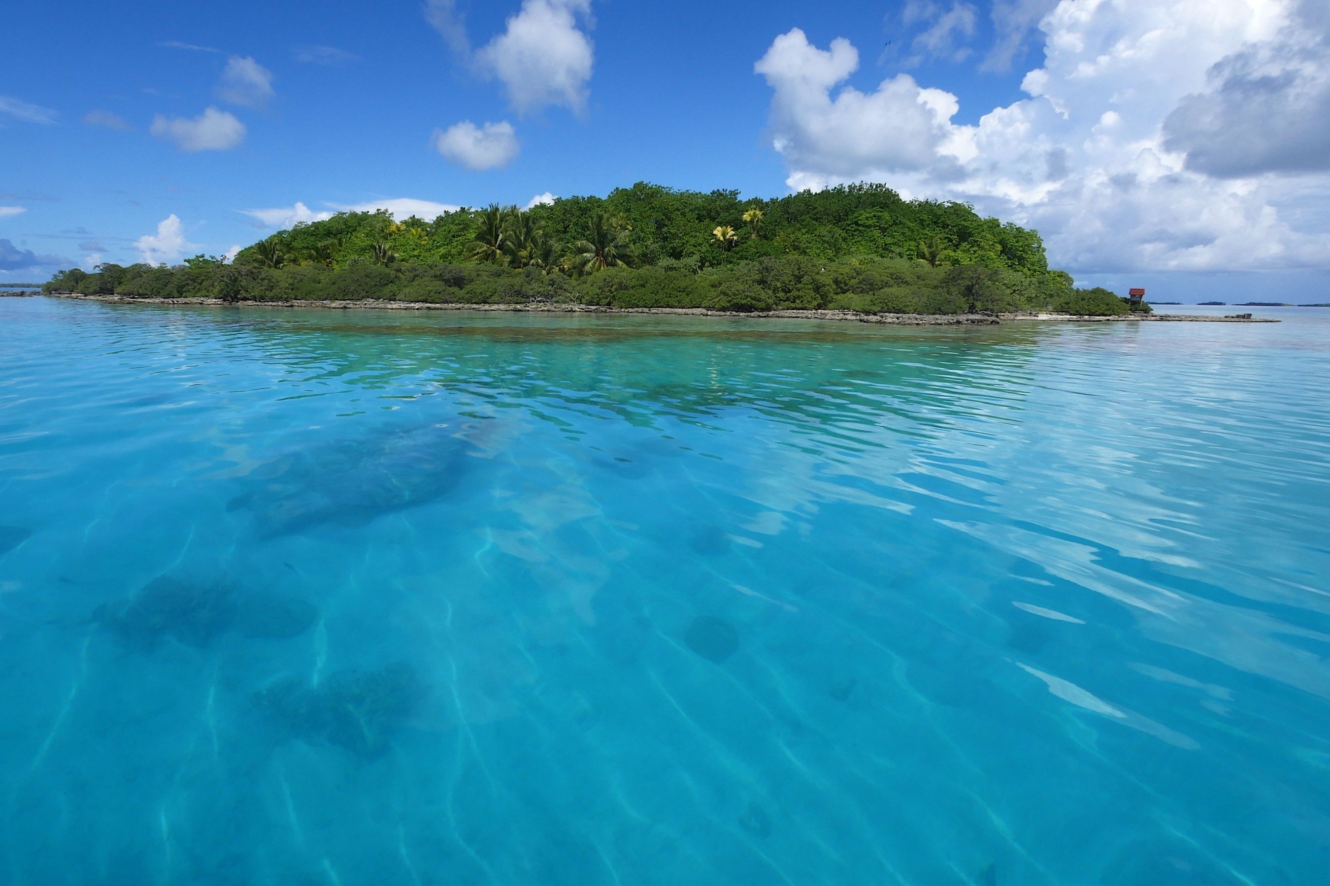 Coco Dive Tikehau Pension Hotu