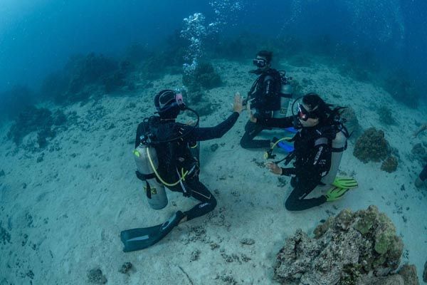 Coco Dive Tikehau 