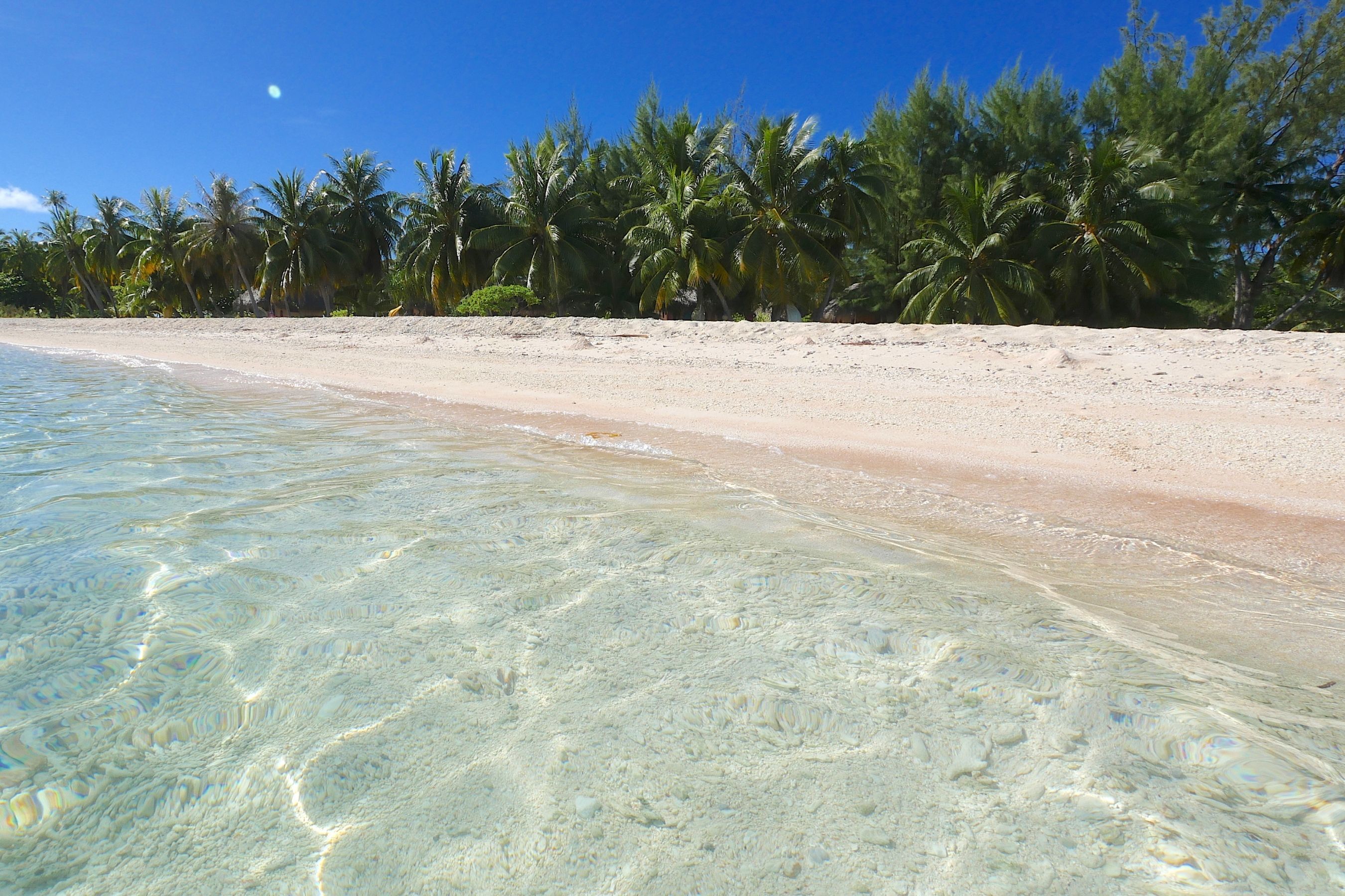 Coco Dive Tikehau Pension Hotu
