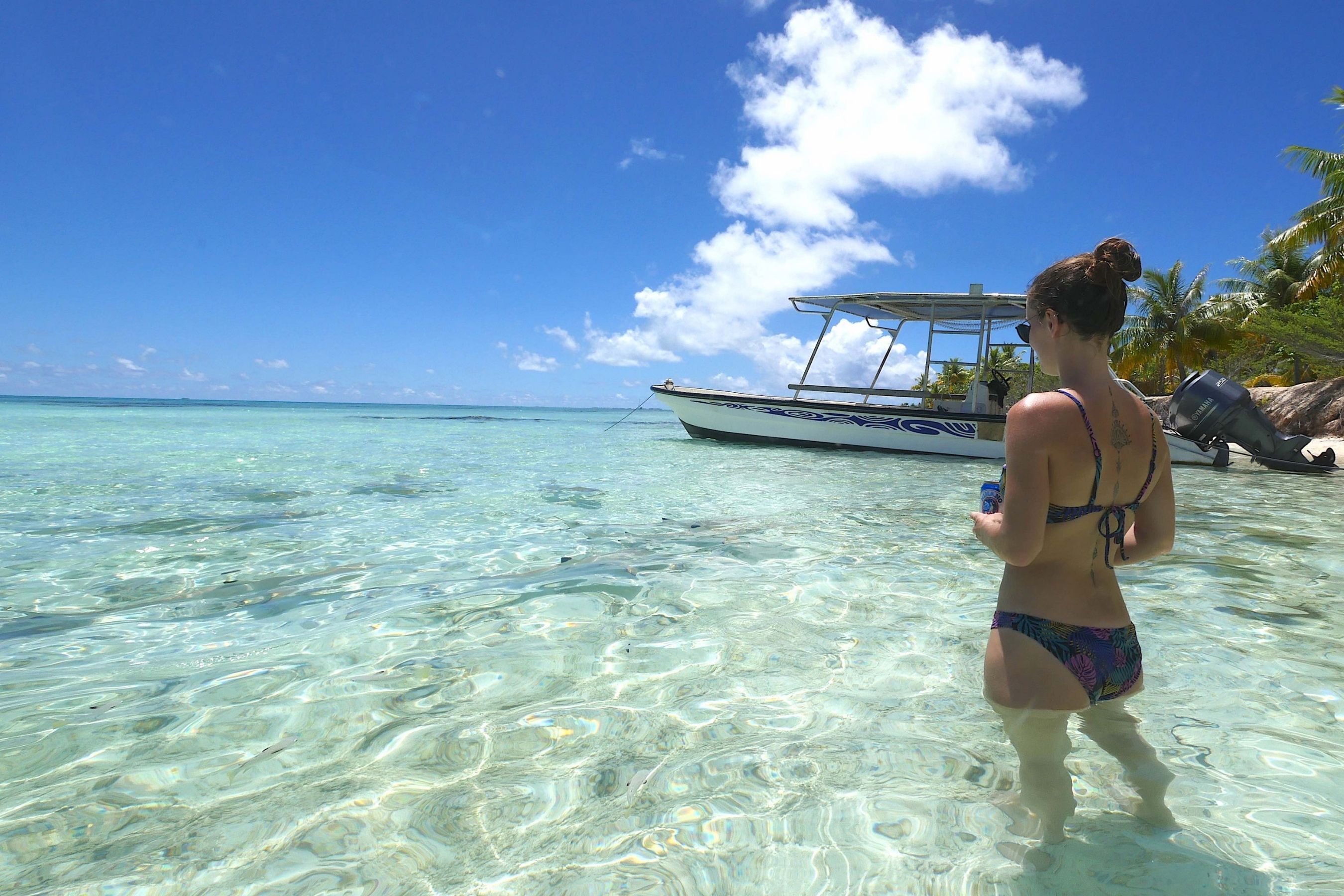 Coco Dive Tikehau Pension Hotu