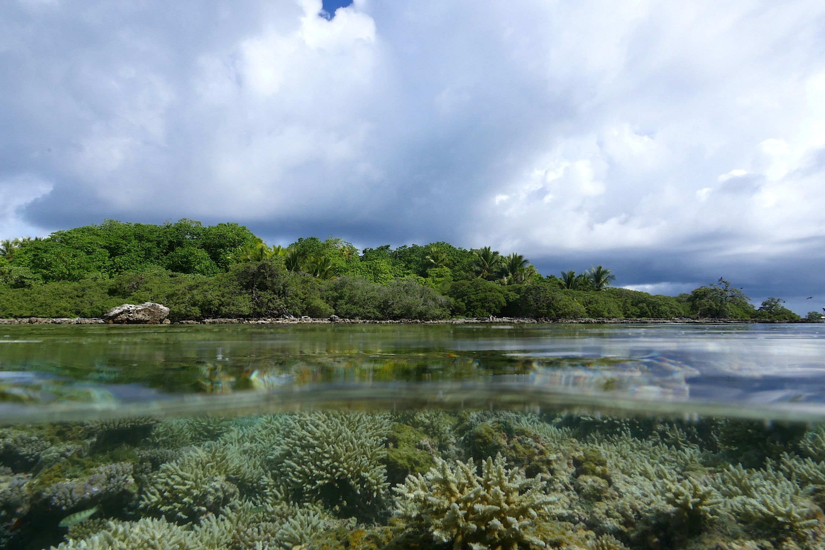 Coco Dive Tikehau Pension Hotu