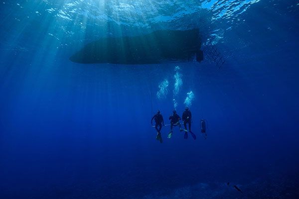 Coco Dive Tikehau 
