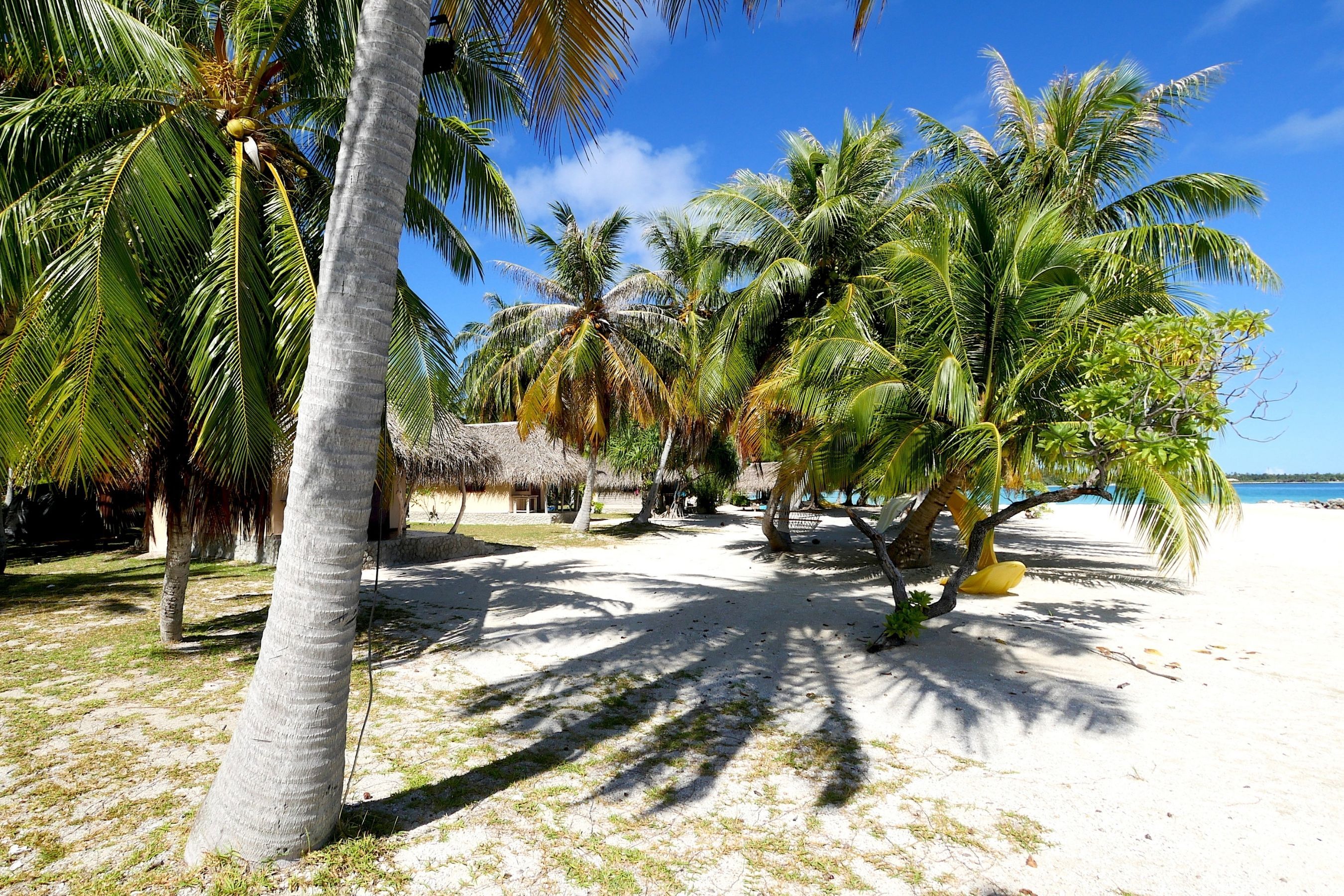Coco Dive Tikehau Pension Hotu