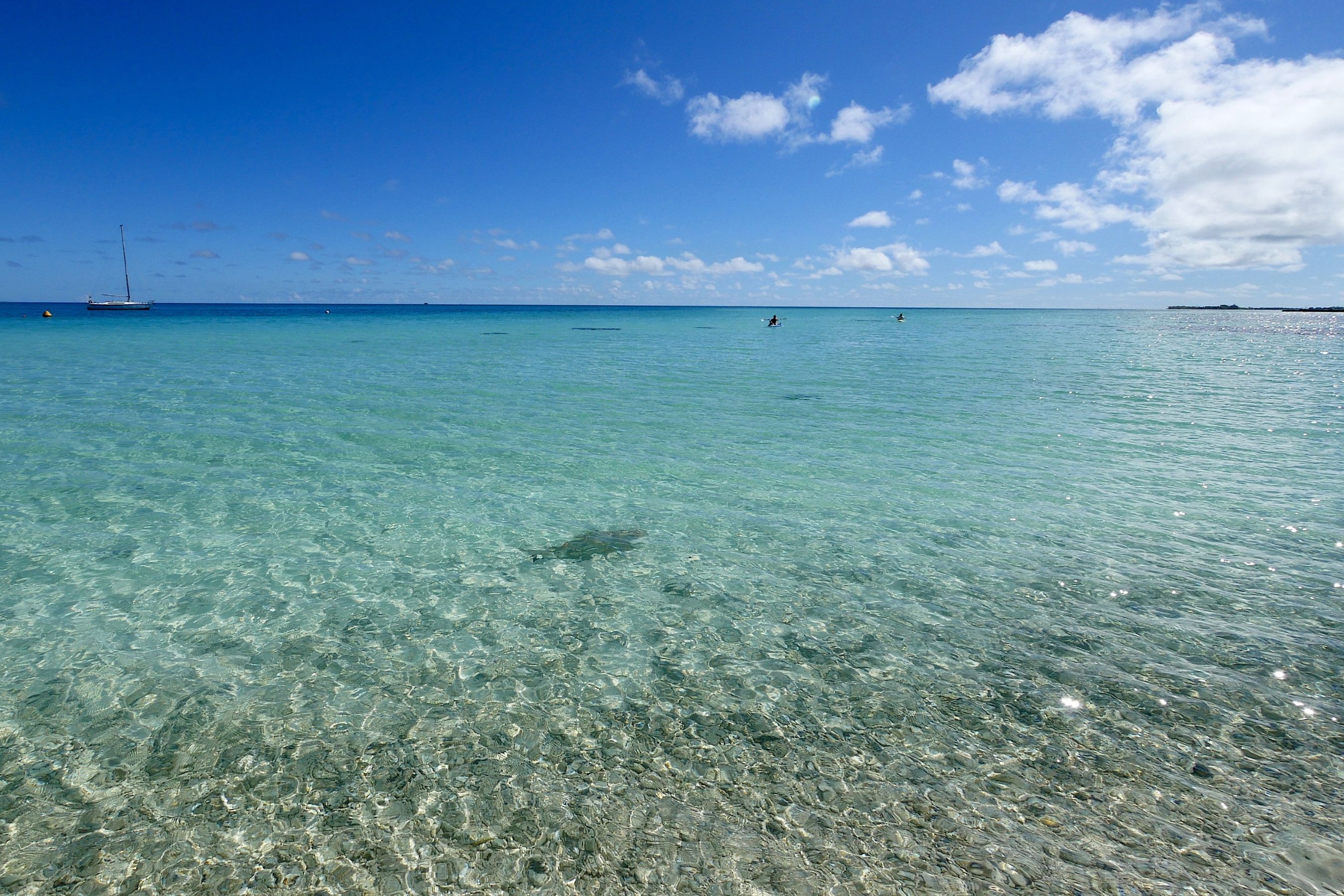 Coco Dive Tikehau Pension Hotu