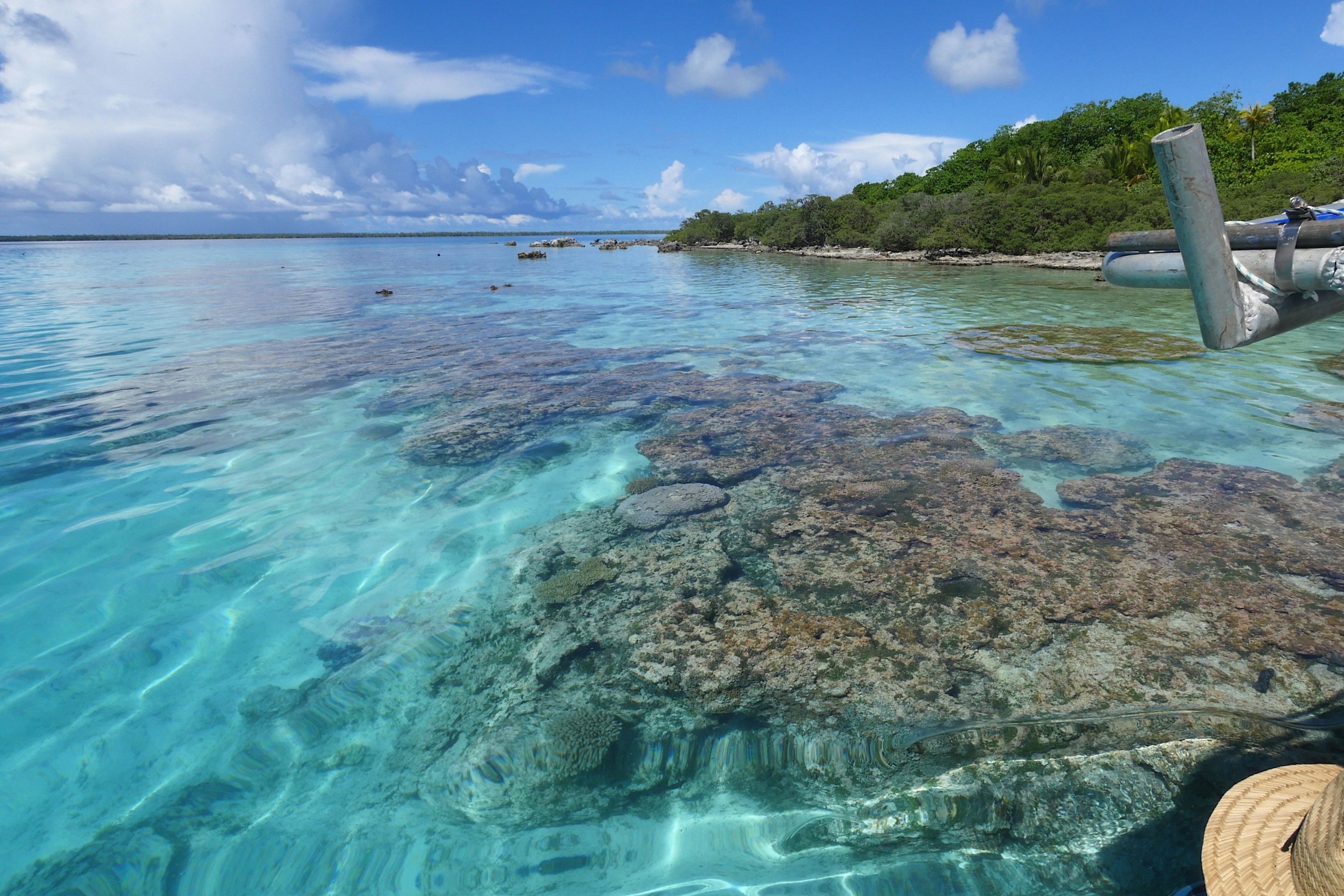 Coco Dive Tikehau Pension Hotu