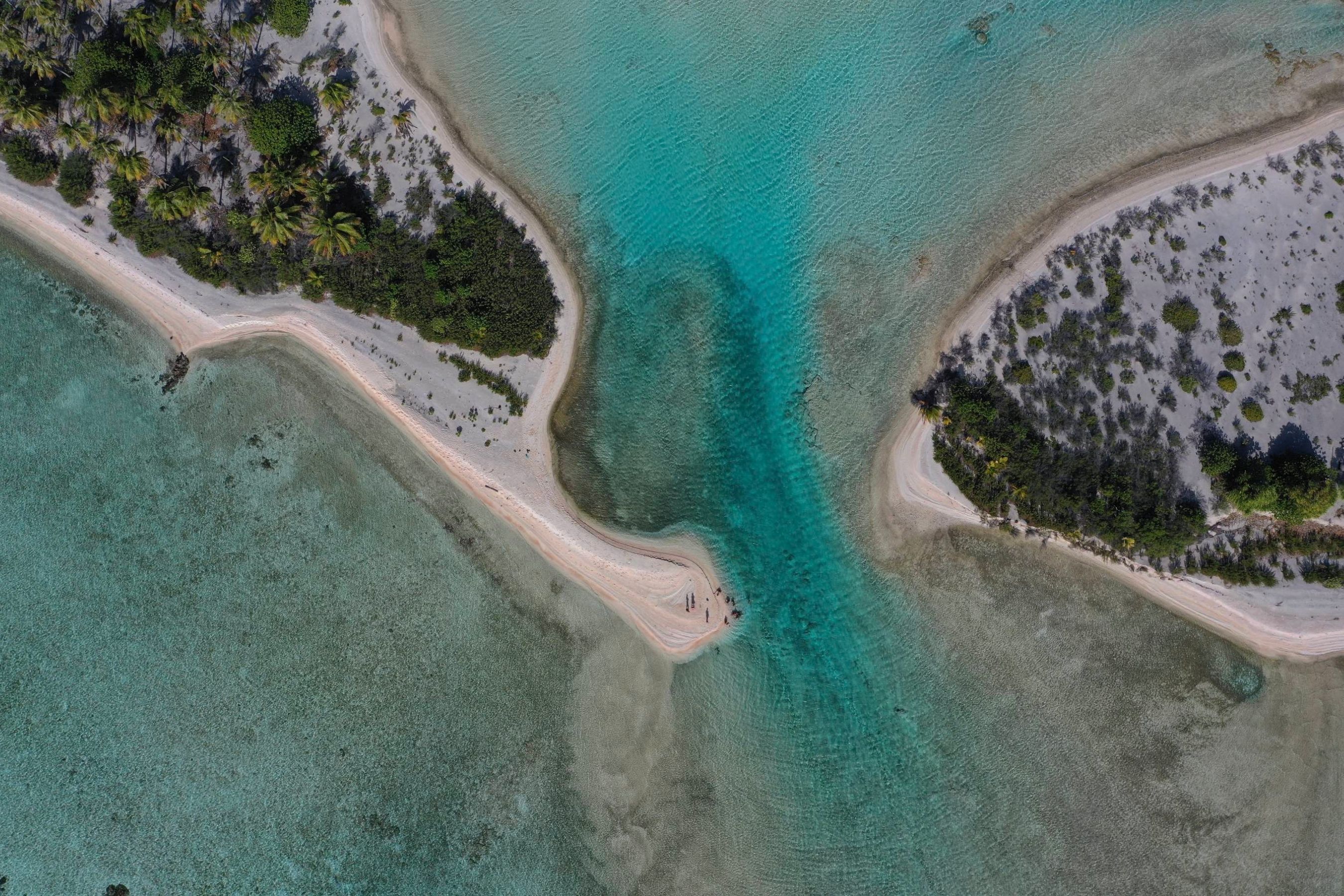 Coco Dive Tikehau Pension Hotu