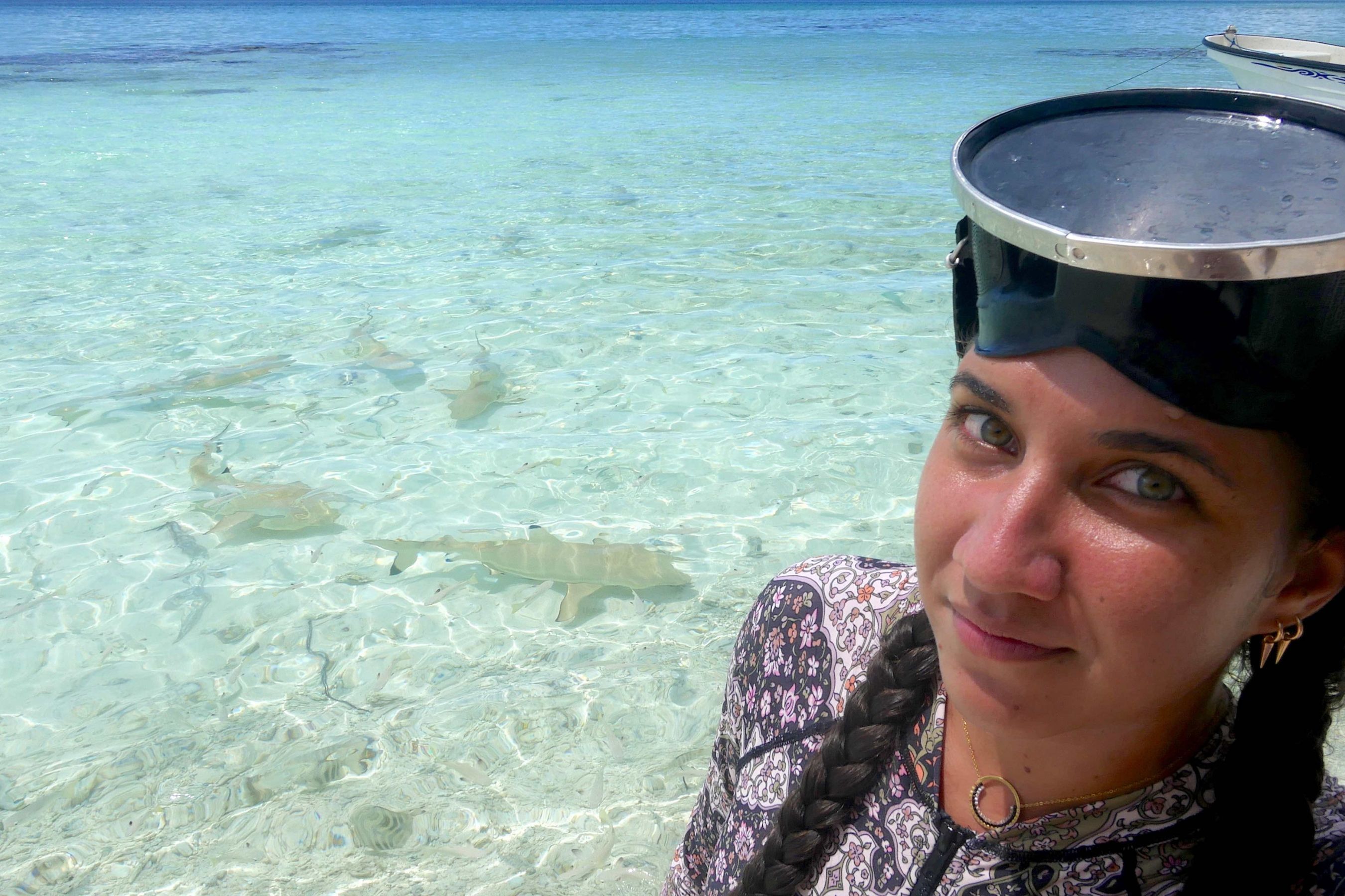 Coco Dive Tikehau Pension Hotu