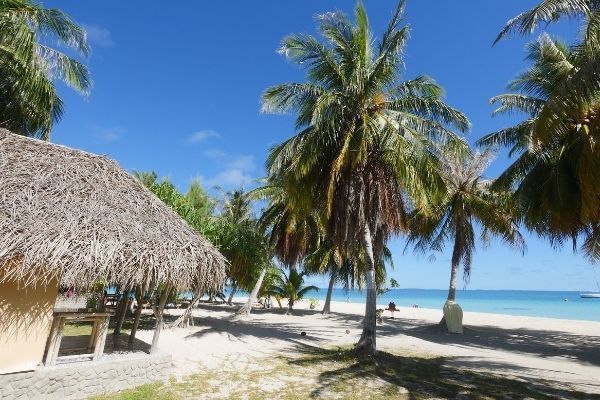 Coco Dive Tikehau Xavier Plongeur